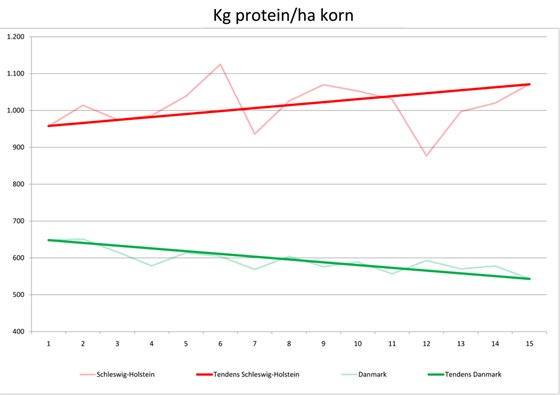 Figur 4. Udviklingen i antallet af kg protein høstet pr. hektar i Slesvig-Holsten og Danmark. Kilde: Videncenter for Landbrug og Landwirtschaft Schlesvig-Holstein.