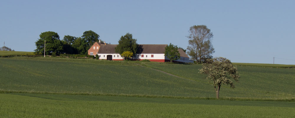 bornholmsk-gård-1000