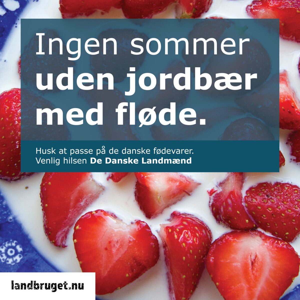 IngenSommerUdenJordbaer