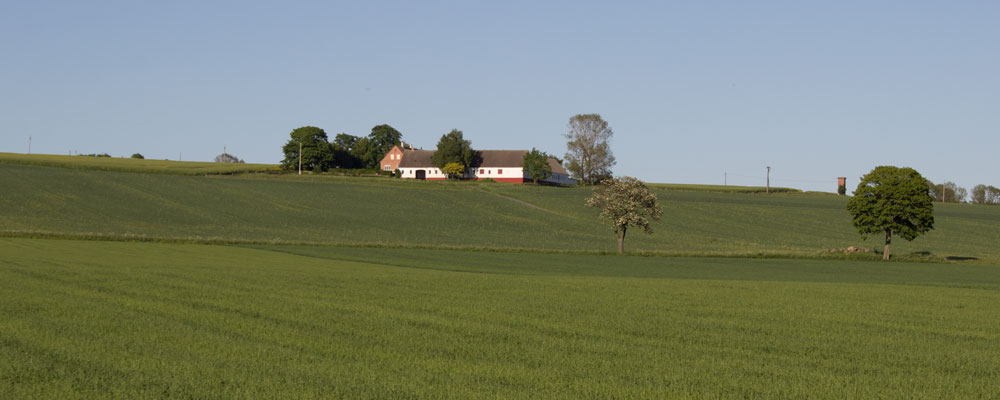 gaard-bornholm