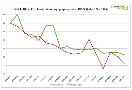 Vinterhvede kvælstofnorm og optaget protein